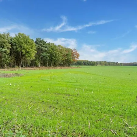 Attractive In Gorp And Roovert Estate