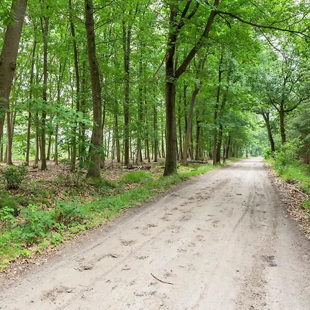 Attractive In Gorp And Roovert Estate * Goirle