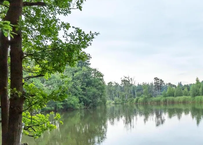 Attractive In Gorp And Roovert Estate * Goirle