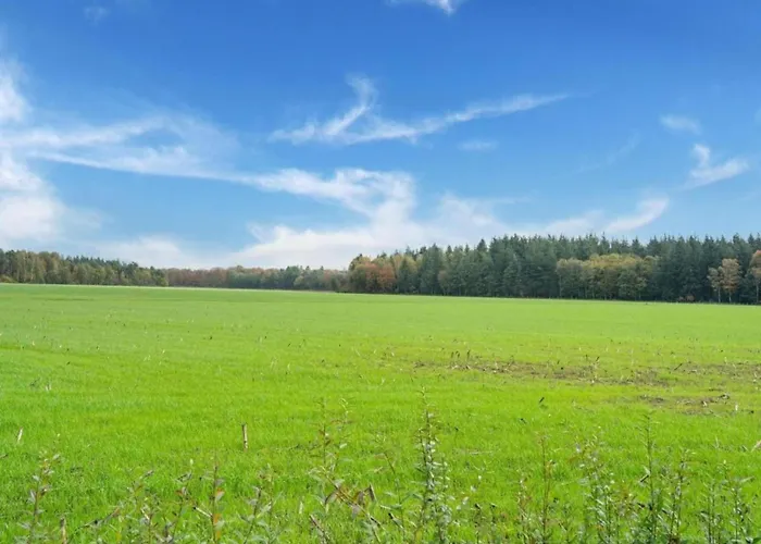 Attractive In Gorp And Roovert Estate Goirle