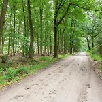 Attractive In Gorp And Roovert Estate *