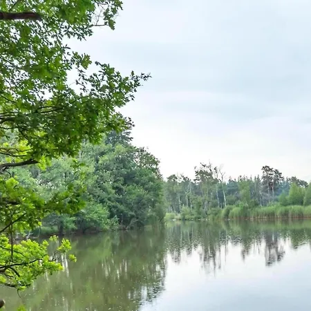 Attractive In Gorp And Roovert Estate * Goirle