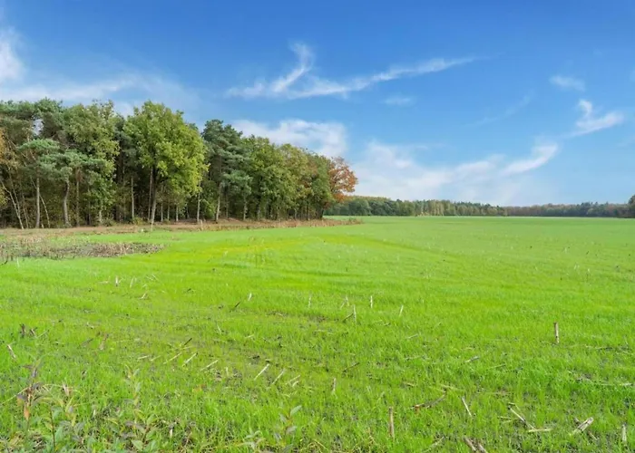 Attractive In Gorp And Roovert Estate Prázdninový dům *