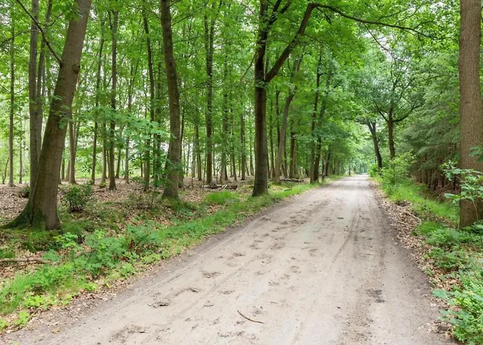 Attractive In Gorp And Roovert Estate *